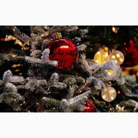 КАТОЛИЦЬКЕ РІЗДВО 2024 ТУРИ У КАРПАТИ: зимові новорічні та різдвяні тури