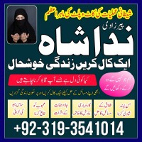 Kala ilam kala jadu expert specialist, love marriage, divorce problem solution