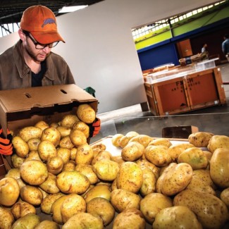 Нужны парни на склад продуктов в Литве