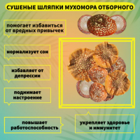 Мухоморы Красные Сушеные