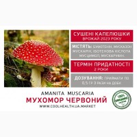 Мухоморы Красные Сушеные