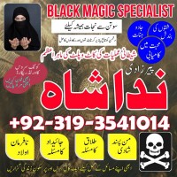 Kala ilam kala jadu expert specialist, love marriage, divorce problem solution