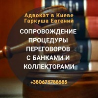 Адвокат в Киеве. Юридические услуги. Юридическая консультация