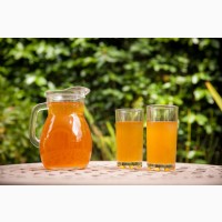 Продаю органическую комбучу, чайный гриб, комбуча, kombucha Scoby, напиток, квас. гриб