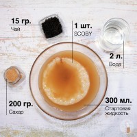 Продаю органическую комбучу, чайный гриб, комбуча, kombucha Scoby, напиток, квас. гриб