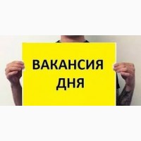 Работа с размещения рекламы в Интернете, соцсетях