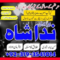 Kala ilam kala jadu expert specialist, love marriage, divorce problem solution