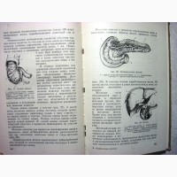 Рациональное питание 1957 Брейтбург потребности человека в пищевых веществах, хим процессы