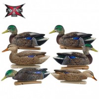 Чучела крякви Avian-X Early-Season Mallard Decoys