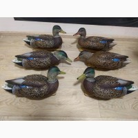 Чучела крякви Avian-X Early-Season Mallard Decoys