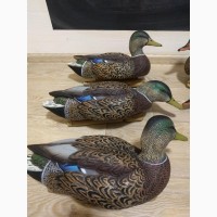 Чучела крякви Avian-X Early-Season Mallard Decoys