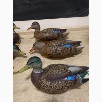 Чучела крякви Avian-X Early-Season Mallard Decoys