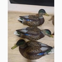 Чучела крякви Avian-X Early-Season Mallard Decoys