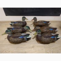 Чучела крякви Avian-X Early-Season Mallard Decoys