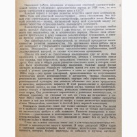 Киномысль 1920-х годов. Тамара Селезнева. Теория кино и ее развитие