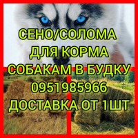 Сено люцерны, луговое сено, солома. Доставка. Б.н расчёт. Большие объёмы