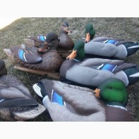 Avian-X TopFlight Preener/Rester Mallard