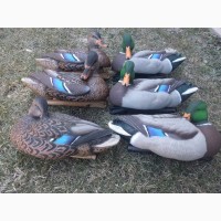 Avian-X TopFlight Preener/Rester Mallard