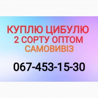 Куплю цибулю 2й сорт лук