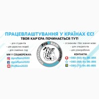 Робота для студентів у Німеччині