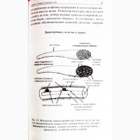 Ваше тело просит воды. Ф.Батмангхелидж