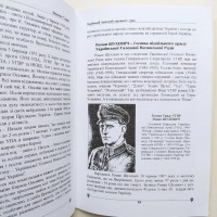 Ярослав Тимчишин. Український підпільний парламент і уряд