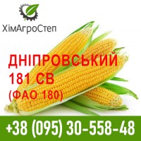 ТОВ ХімАгроСтеп пропонує насіння кукурудзи (ФАО 180 - 340)