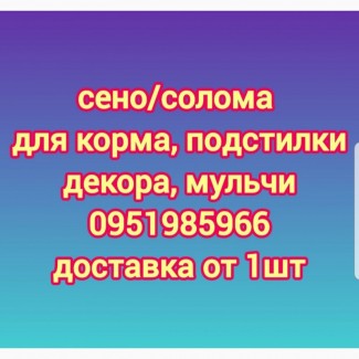 Сено луговое в тюках мешках, сено люцерны, солома из зерновых. Доставка. Качество