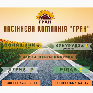 Насіння гібрида соняшника ОСМАН під Євро-Лайтнінг, 115-118 днів