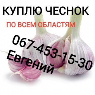 Куплю чеснок