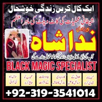 Husband Wife Divorce Problem Solution, Top Skilled-1 Amil Baba In Lahore