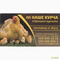 Підрощена птиця курчата бройлер