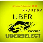 Водитель UBER