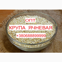 Продам Крупу Ячневую от Производителя из Винницы Оптом