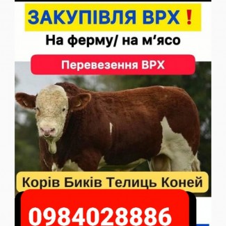 Закупівля врх