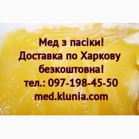 Мед Харьков. Продам мед в Харькове. Купить мед в Харькове. Мед цена