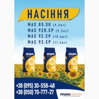 Насіння соняшника MAS | 85.SU | 920.CP | 92.СР | 93.СР