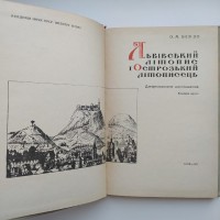 Львівський літопис і Острозький літописець. Олександр Бевзо