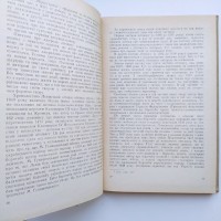 Львівський літопис і Острозький літописець. Олександр Бевзо