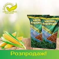 Насіння кукурудзи Хотин, Пивиха, Хортиця, Дніпровський-181