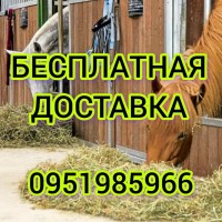 Продам 800т люцерны, лугового сена, соломы в тюках с доставкой