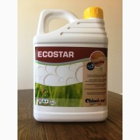 Лак для паркета ECOSTAR (5L)_Chimiver (Италия)