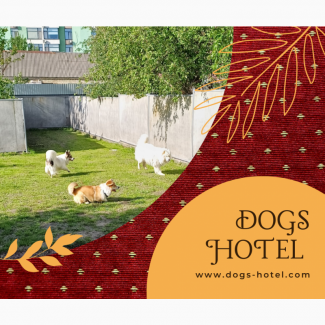 Готель для перетримки собак в Києві ПЕС- Dogs Hotel PES