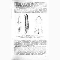 Товароведение пушно-мехового сырья. А. Переверзьева